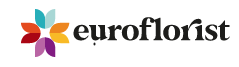 Euroflorist Gutscheine